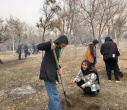 کاشت نهال در پردیس کرج دانشگاه هنر ایران همزمان با فرا رسیدن روز درختکاری