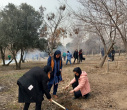 کاشت نهال در پردیس کرج دانشگاه هنر ایران همزمان با فرا رسیدن روز درختکاری