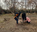 کاشت نهال در پردیس کرج دانشگاه هنر ایران همزمان با فرا رسیدن روز درختکاری