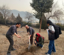 کاشت نهال در پردیس کرج دانشگاه هنر ایران همزمان با فرا رسیدن روز درختکاری