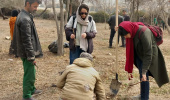کاشت نهال در پردیس کرج دانشگاه هنر ایران همزمان با فرا رسیدن روز درختکاری